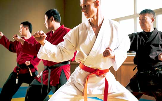 Martial Arts Travel Insurance